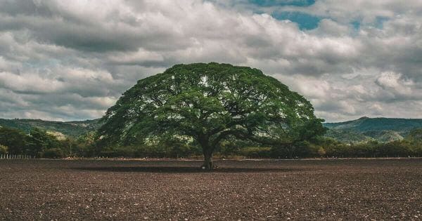 Building a Legacy in Honduras